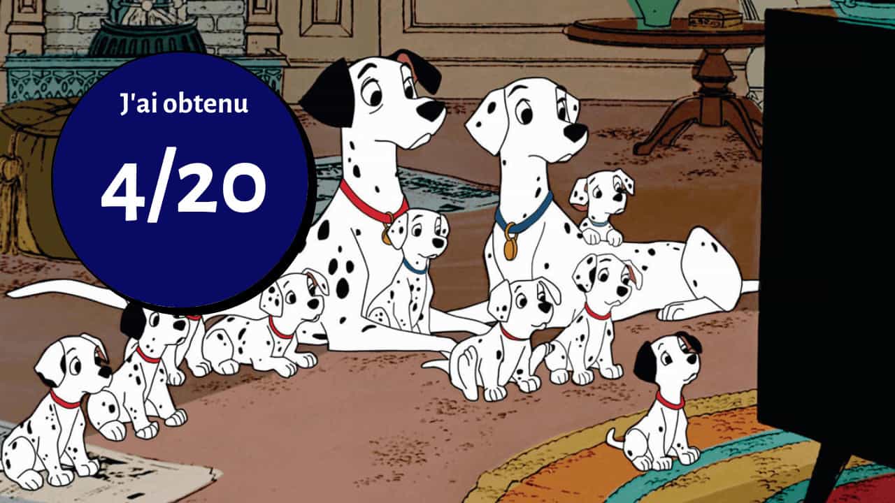 17 6