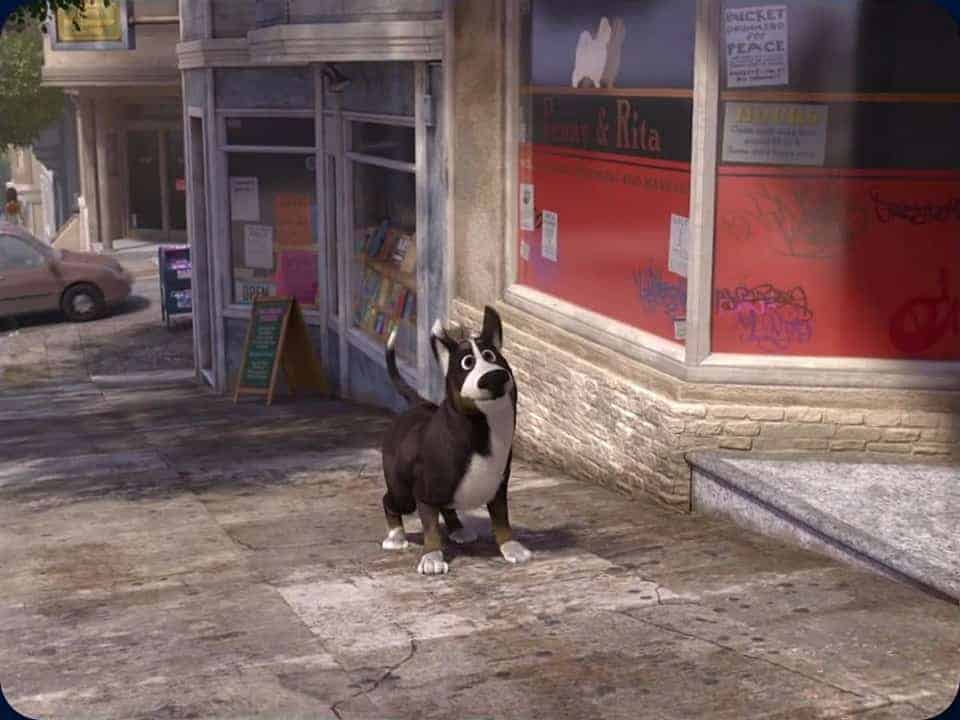 Dog