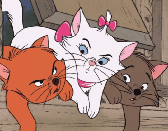 Associerez-vous ces 20 chats à son film Disney d’origine ?