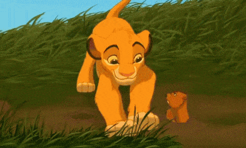 simba
