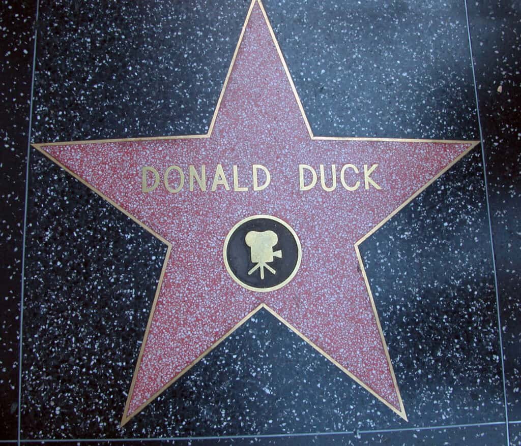 Donald Duck Star on the Walk of Fame